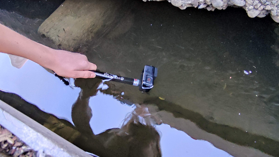 Hånd som holder et GoPro-kamera under vann for å filme fisk